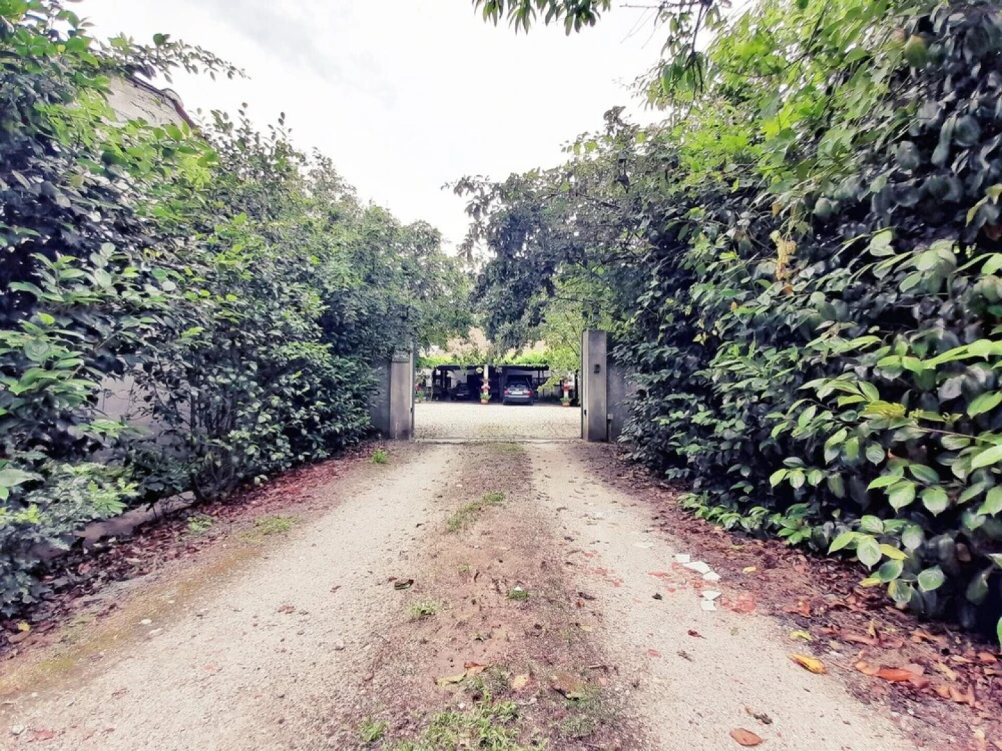 Pet Friendly Barbecue Pool Mystay