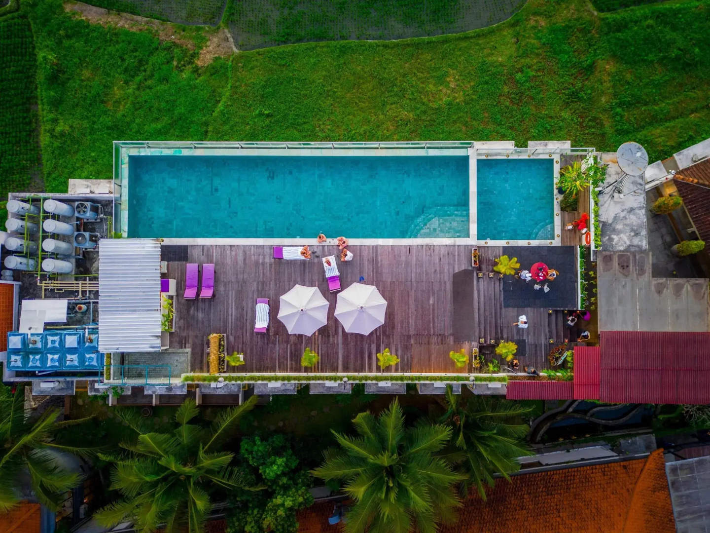 The Evitel Resort Ubud