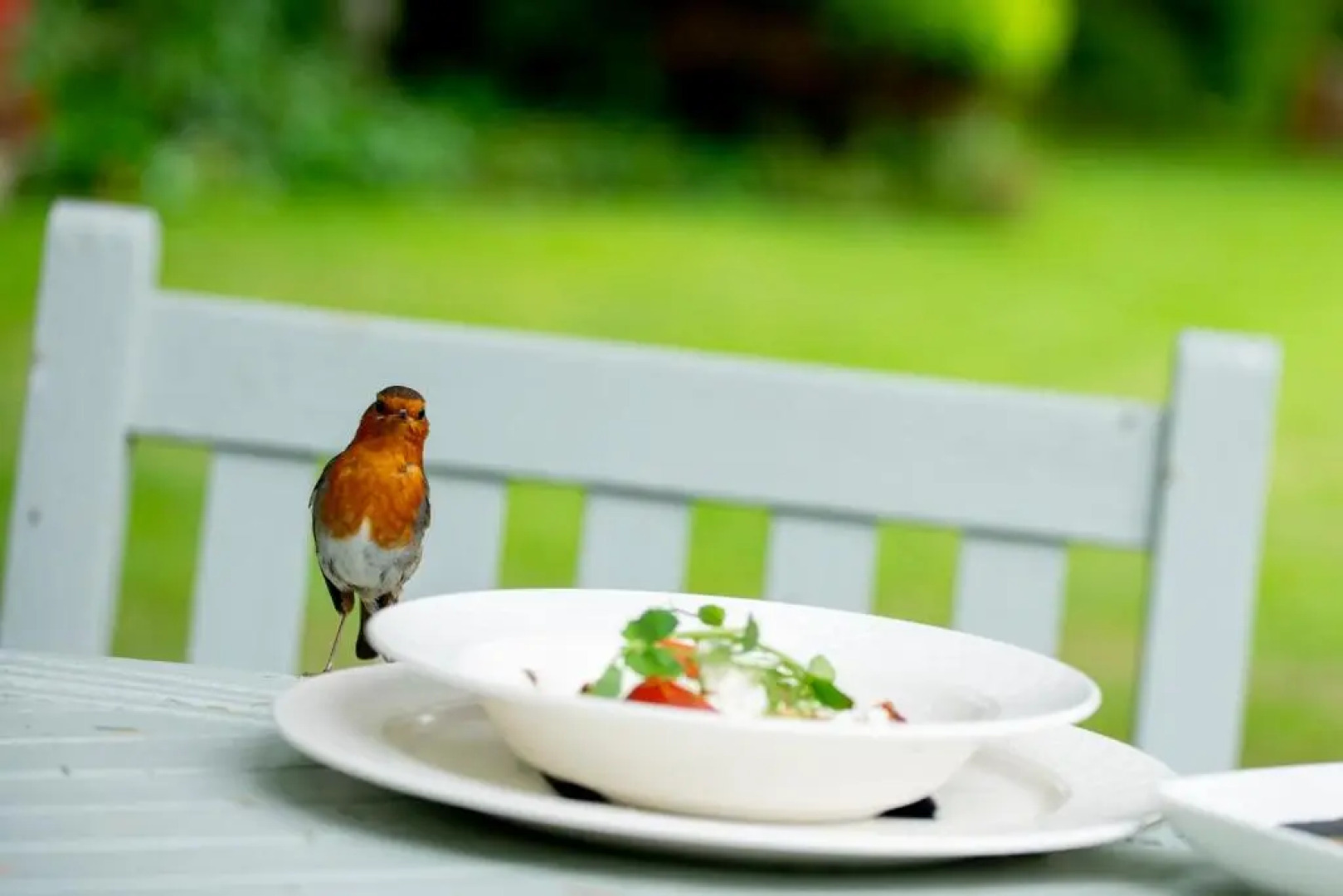 The Grange at Oborne