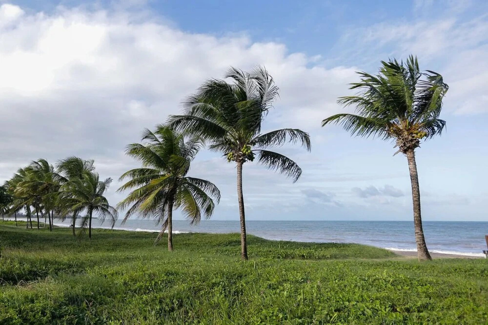 Apart ao mar de João Pessoa by Carpediem