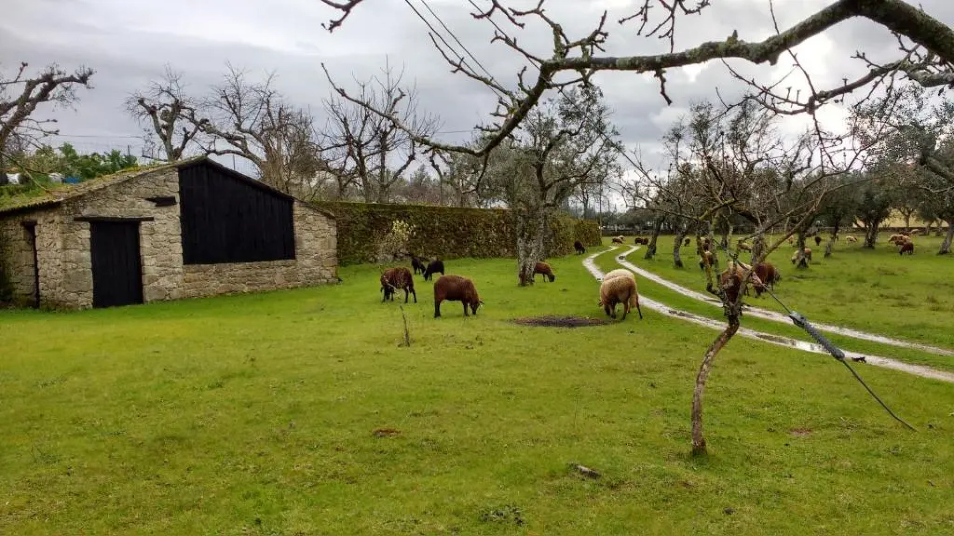 Casa Grande - Turismo de Habitacao