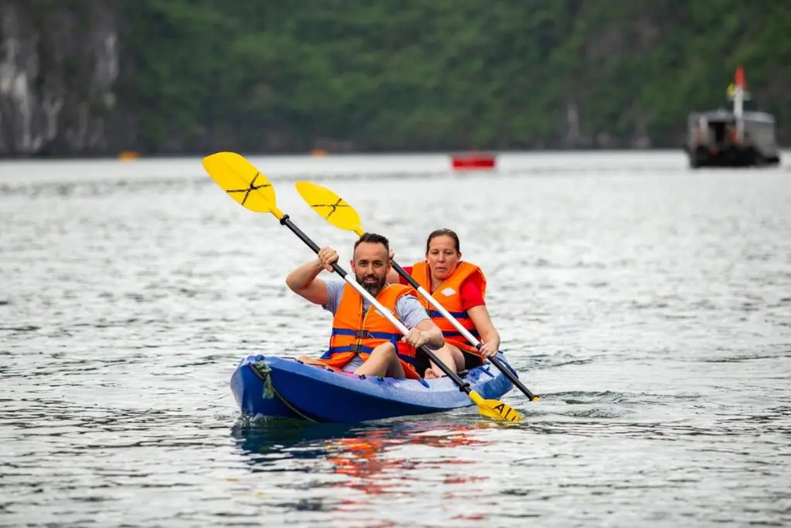 Alisa Premier Cruise