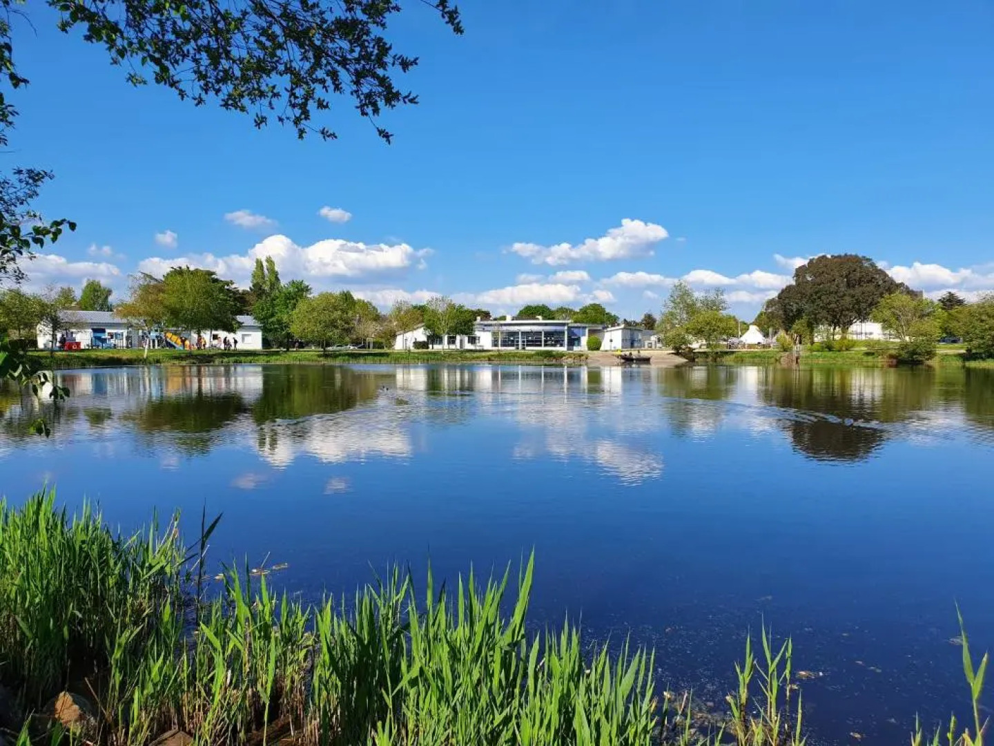 Vacances Ô Loch - Studio à 200 mètres de la plage - Le Cap Coz Fouesnant