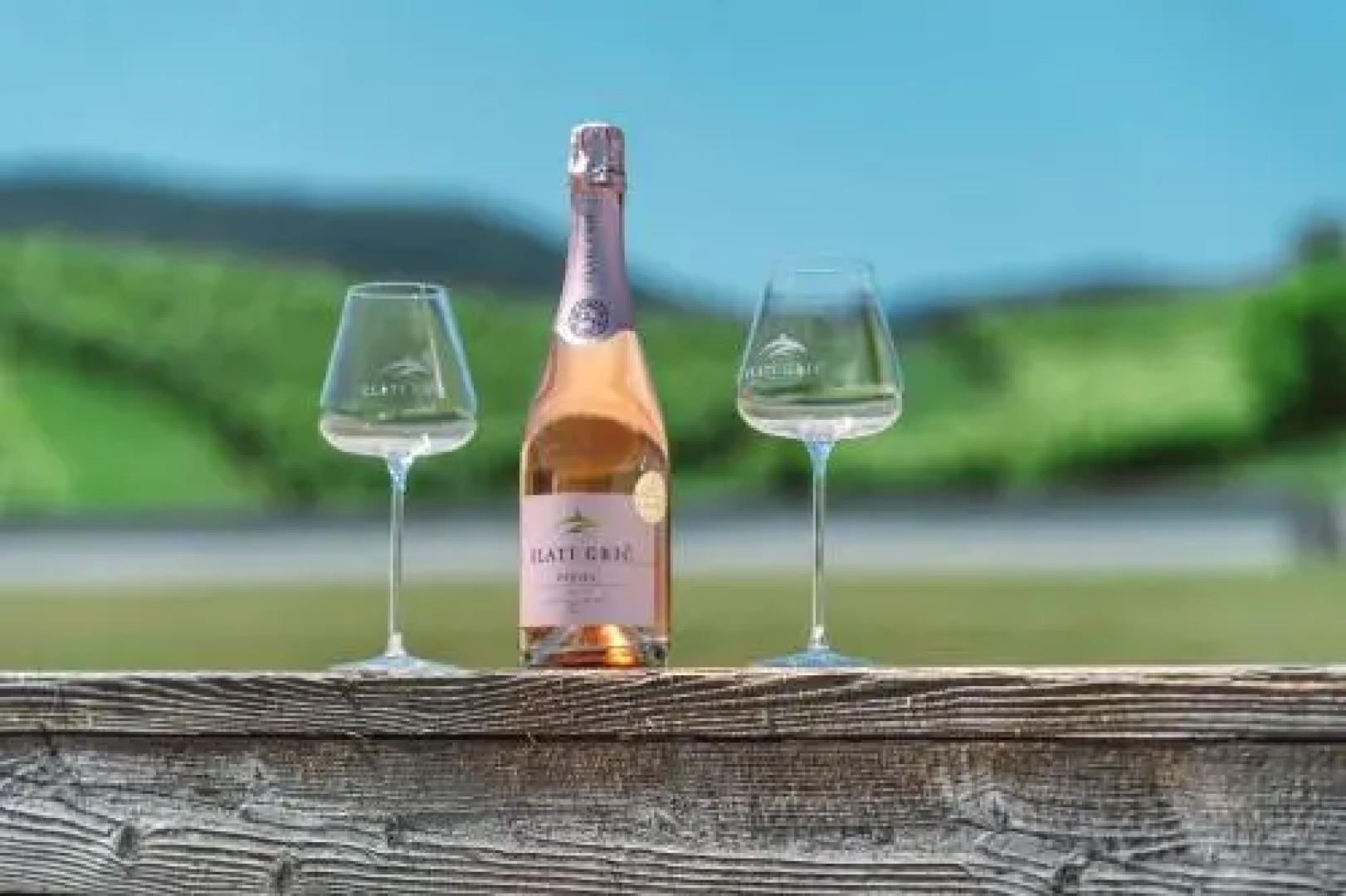 Wine Grower's Mansion Zlati Gric