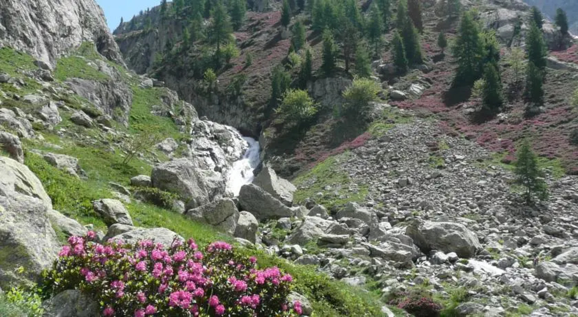 Hotel du Grand Capelet