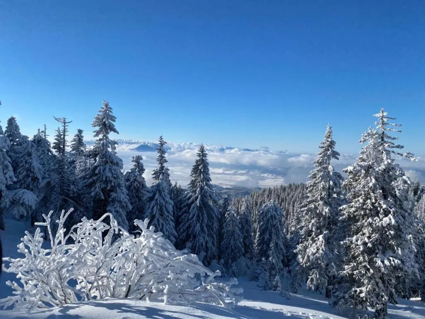 Poiana Brasov - Alpin Resort Hotel - Apartament 2708