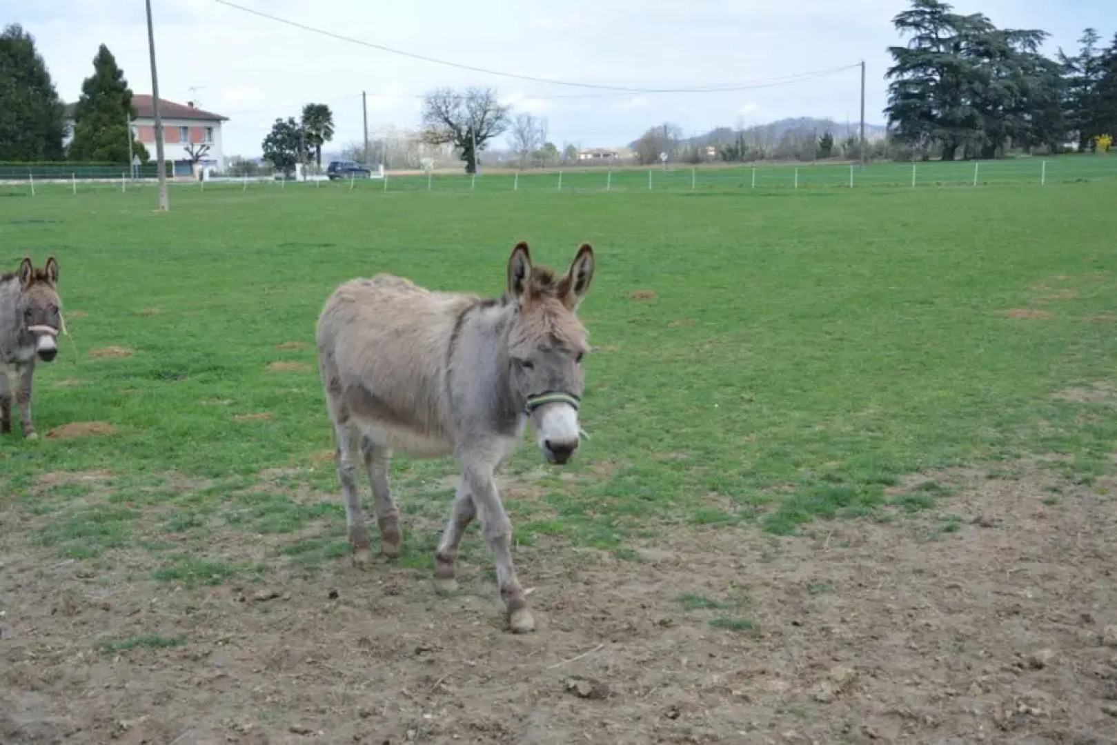 Gite du Pont du Bartac