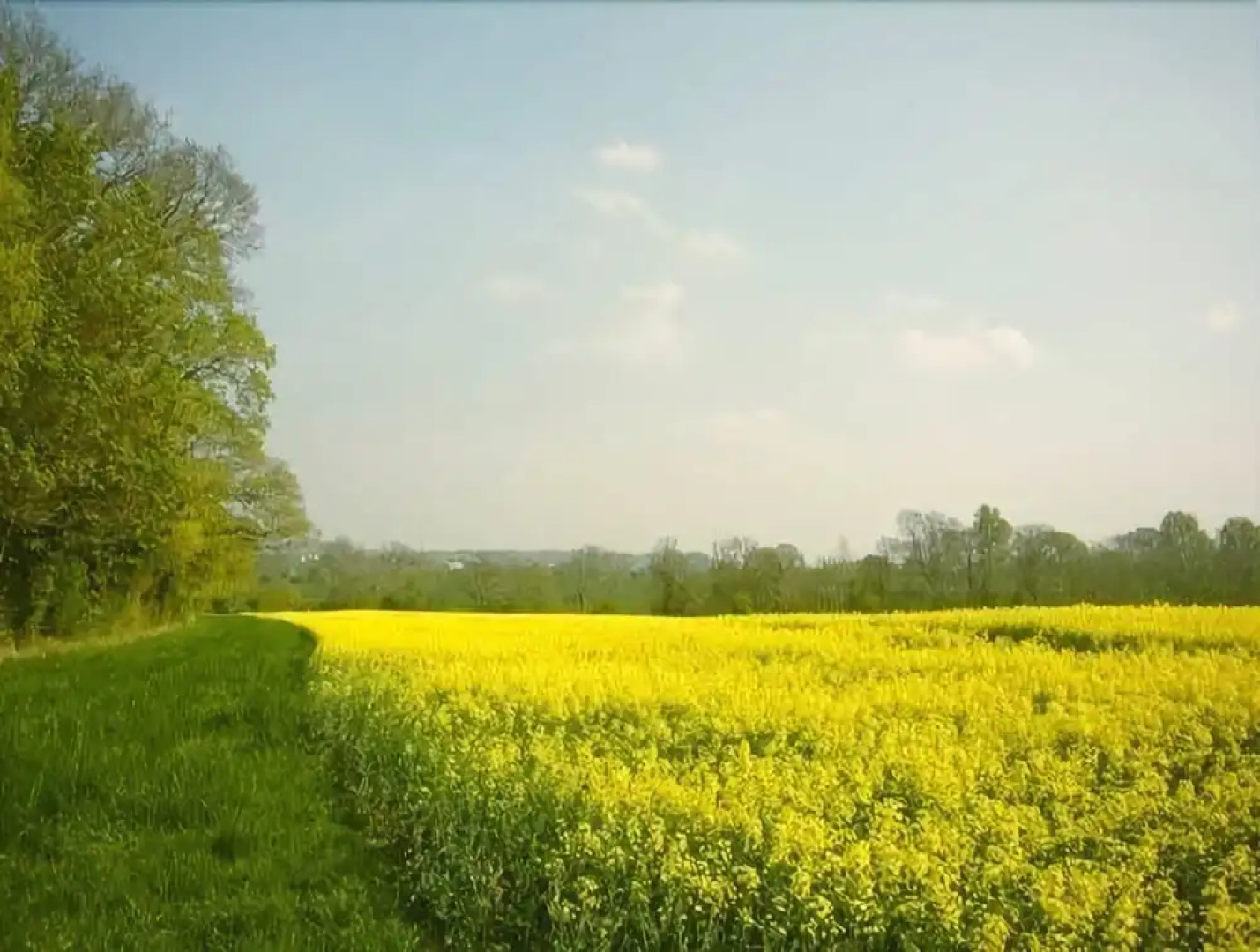 Dilton Court Farm B&B