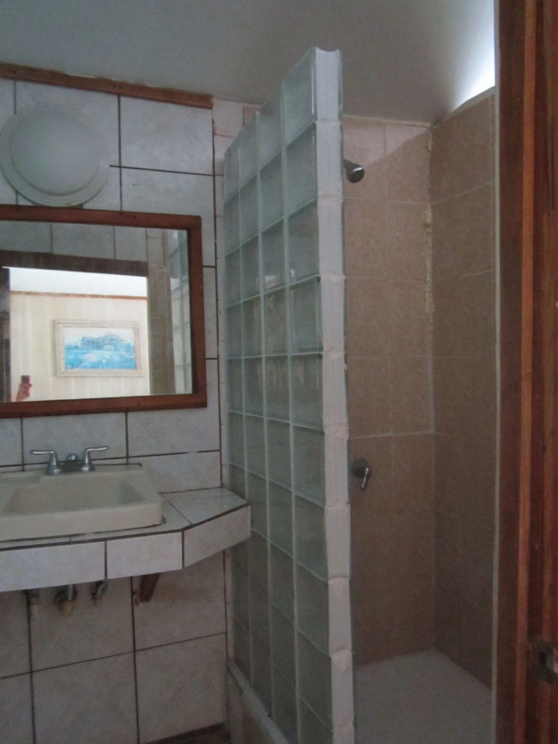 Coconut Tree West Bay