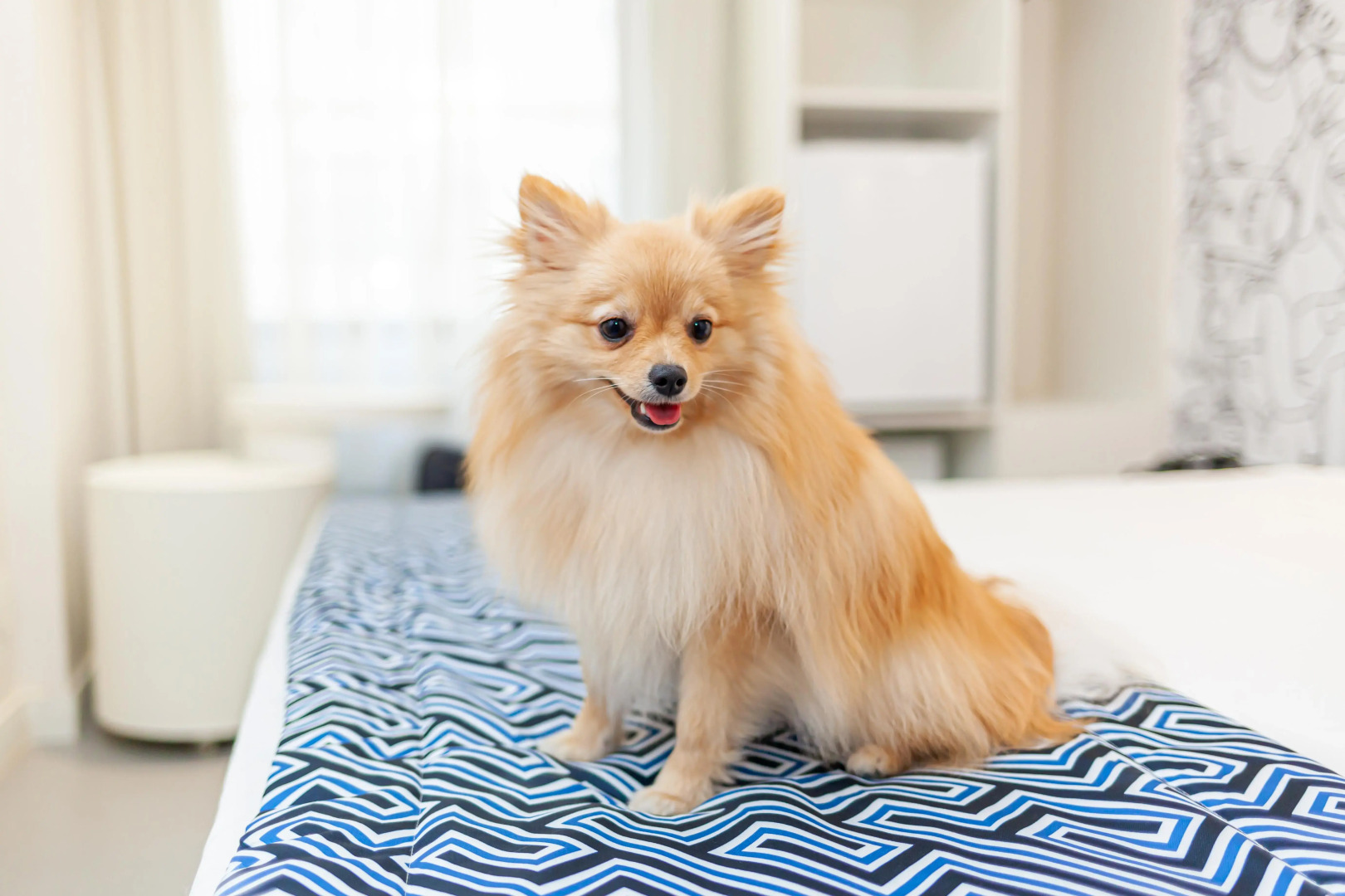 Ibis Styles RJ Botafogo