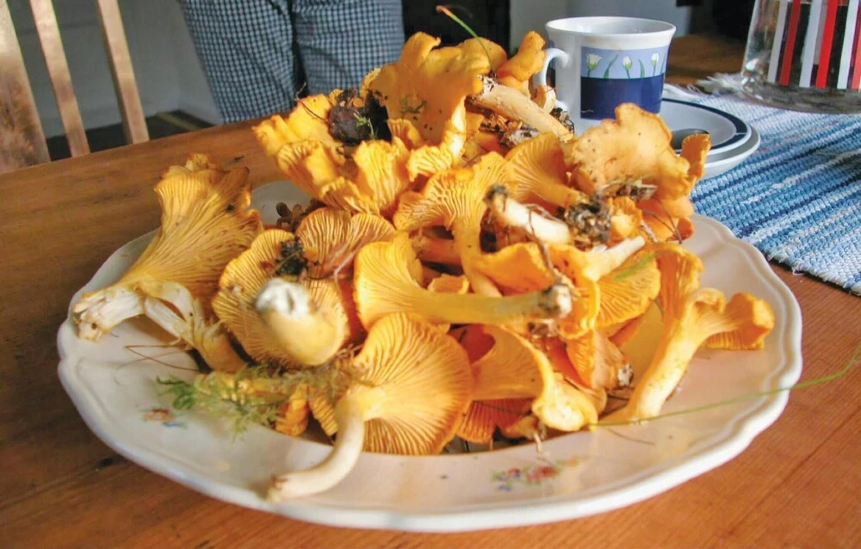 Stunning Home in Bengtsfors With 2 Bedrooms