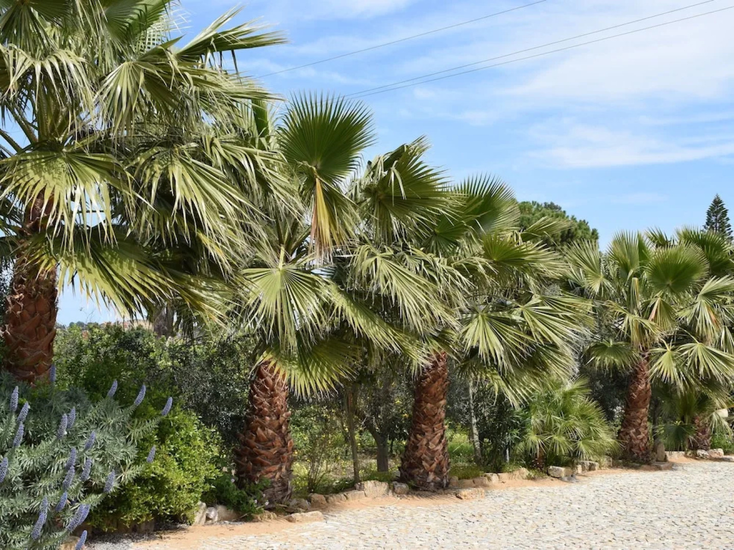 Cottage in Santa Flavia With Swimming Pool, Terrace,barbecue