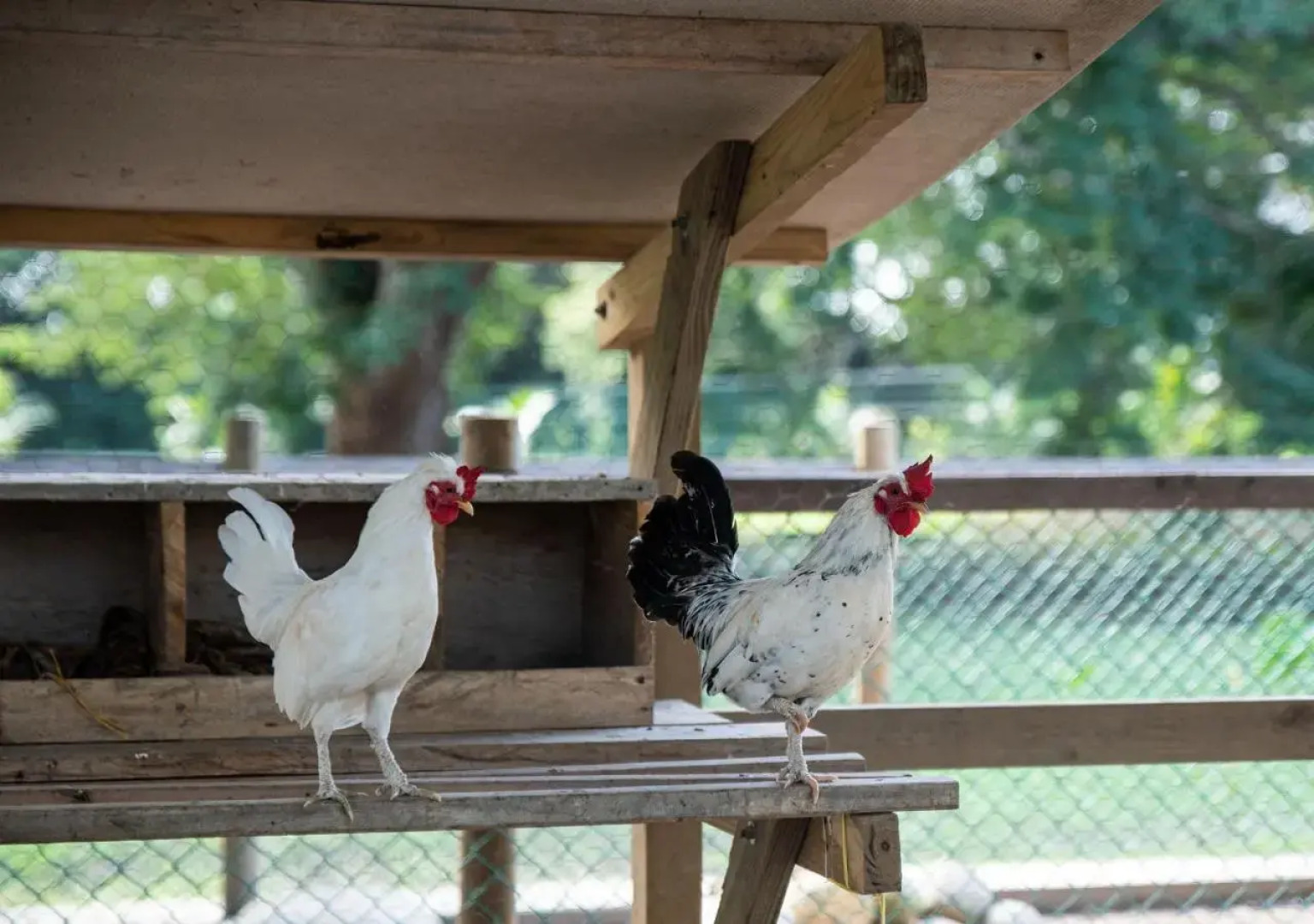 Hotel La Finca Buritaca