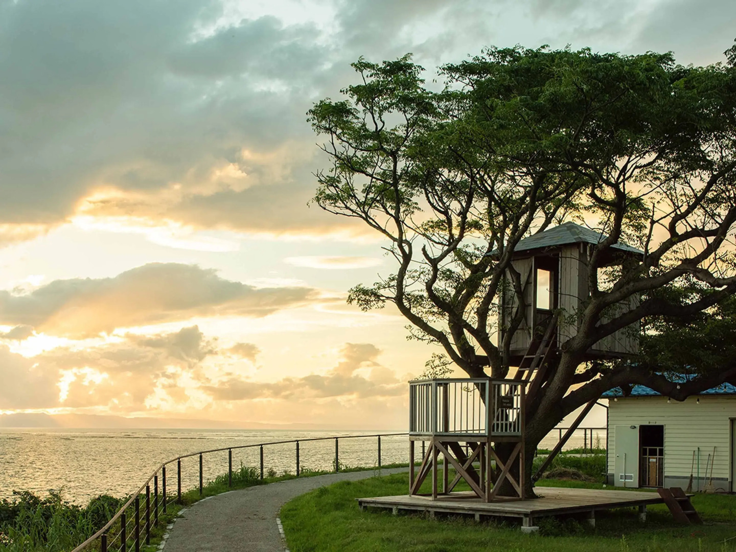 Yukusa Ohsumi Umi no Gakko