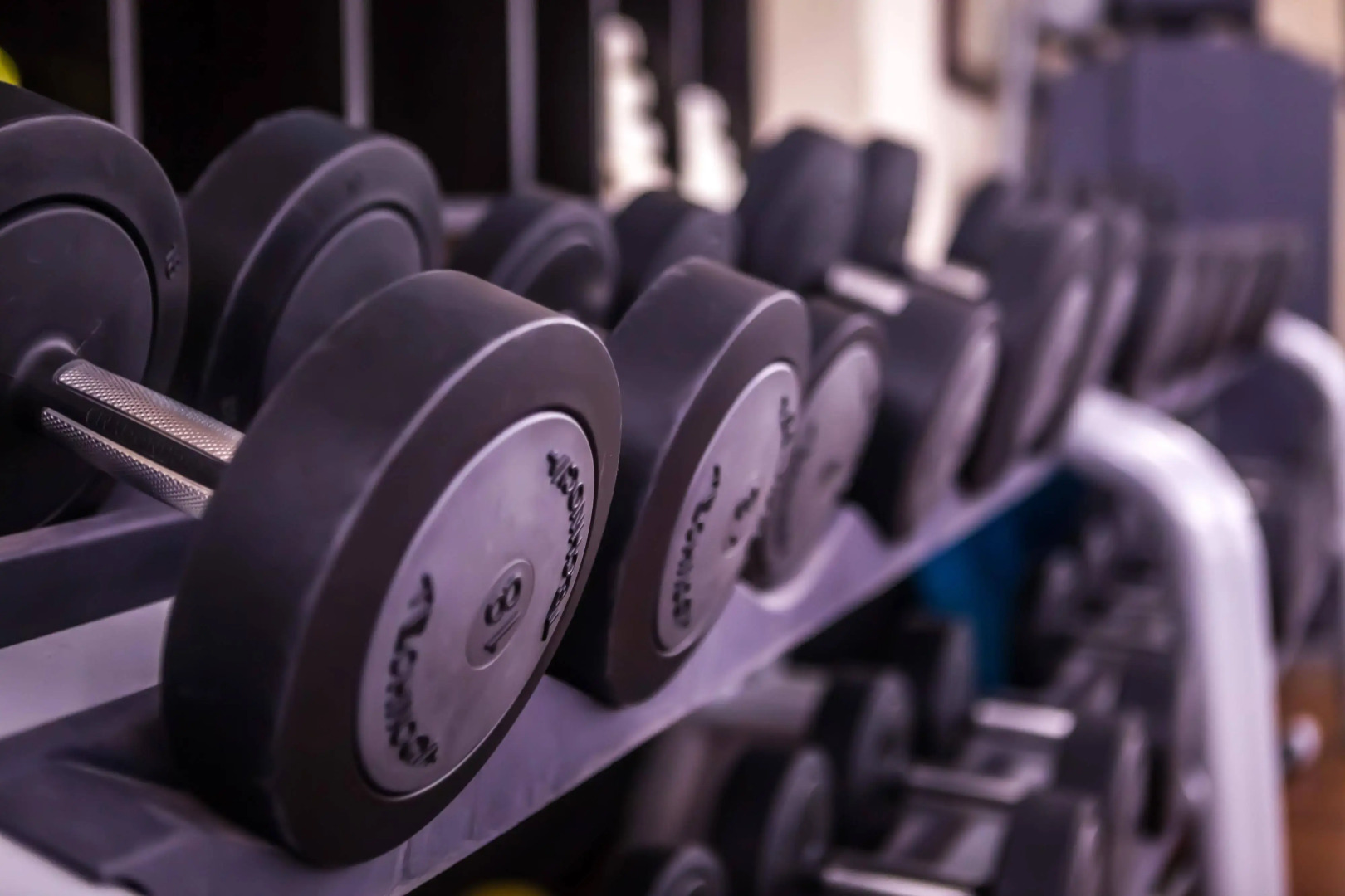 L'Hotel du Collectionneur