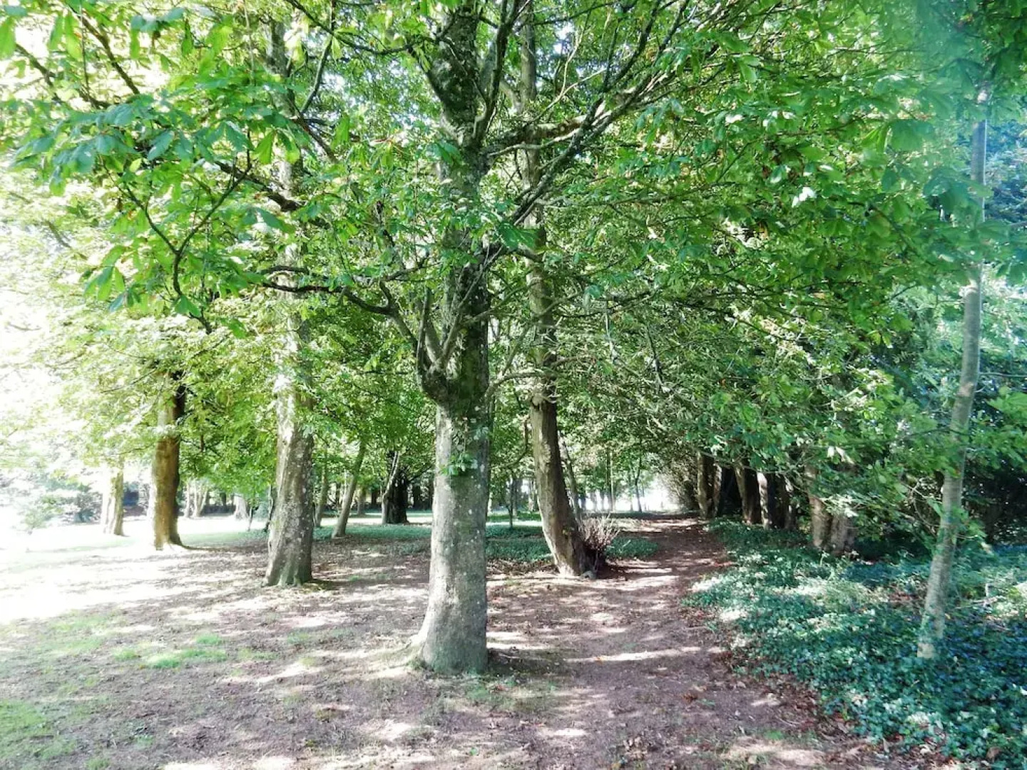 Dartmouth Chalet Holidays