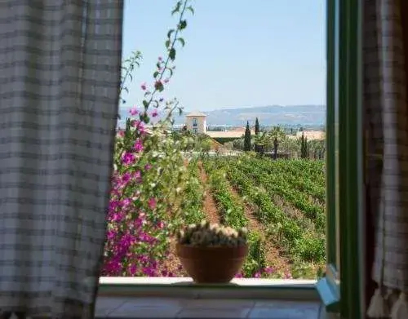 Azienda Agricola Cos