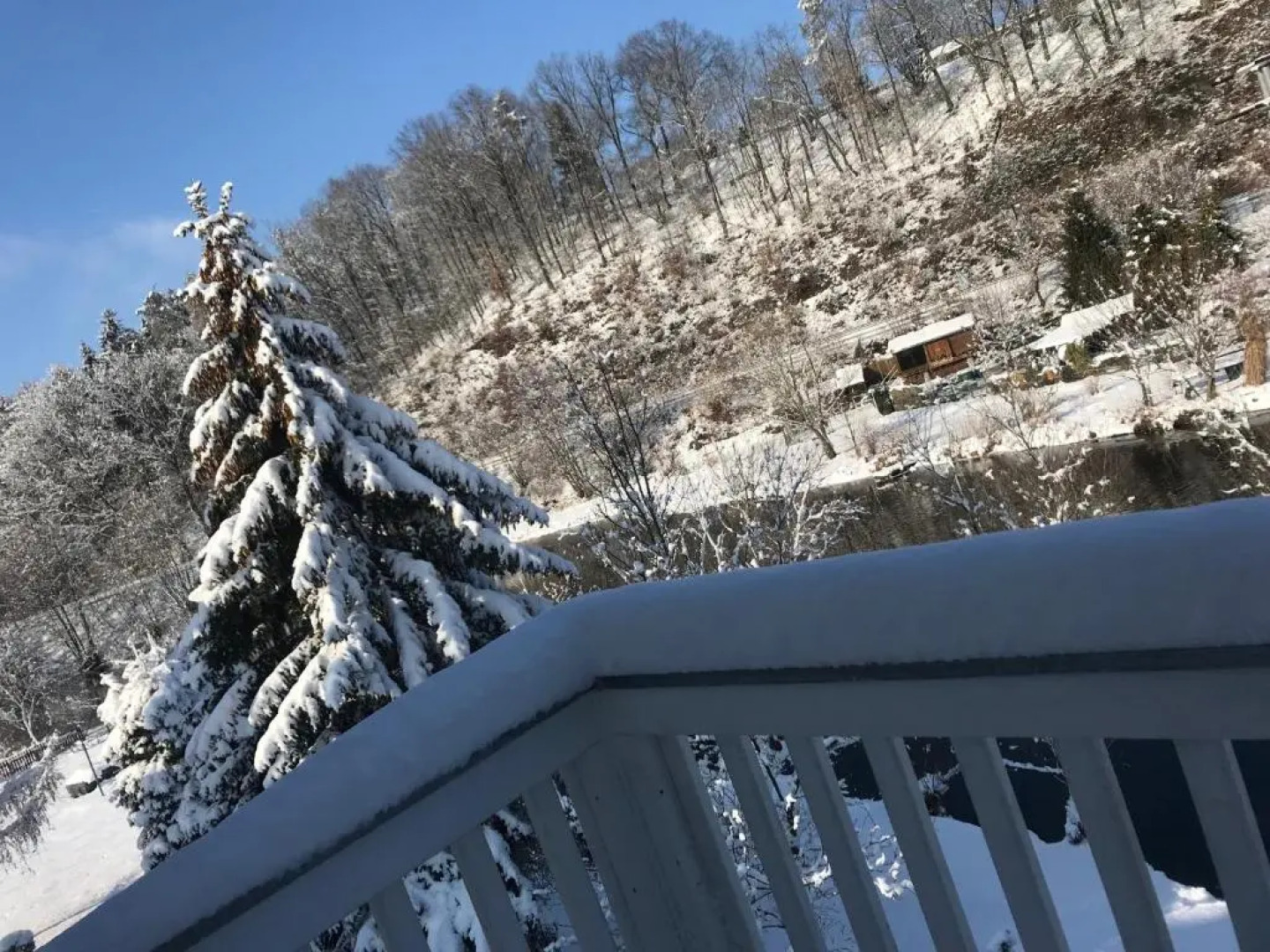Apartment direkt an der Waldnaab