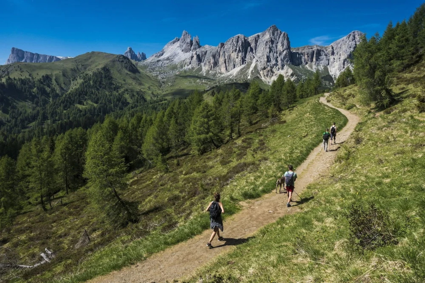FIORI Dolomites Experience Hotel