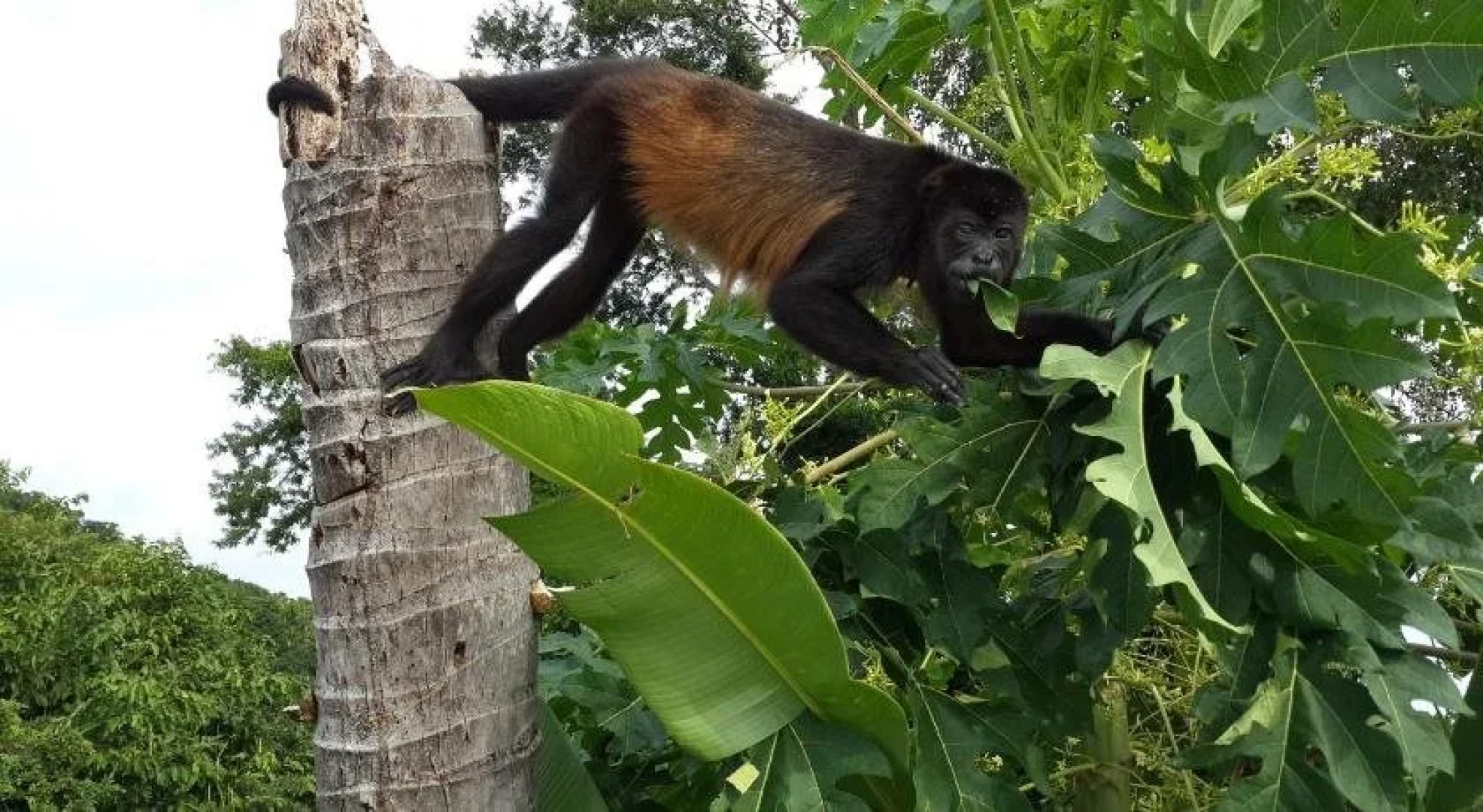 Barracuda Apartments Samara