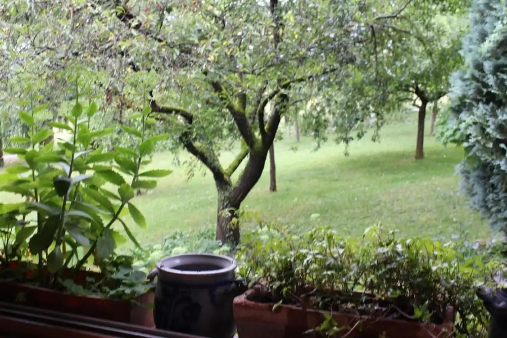 Dans le Jardin de Marie