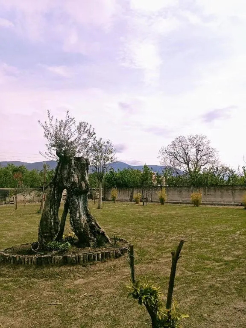 B&B Desea (Adults Only)