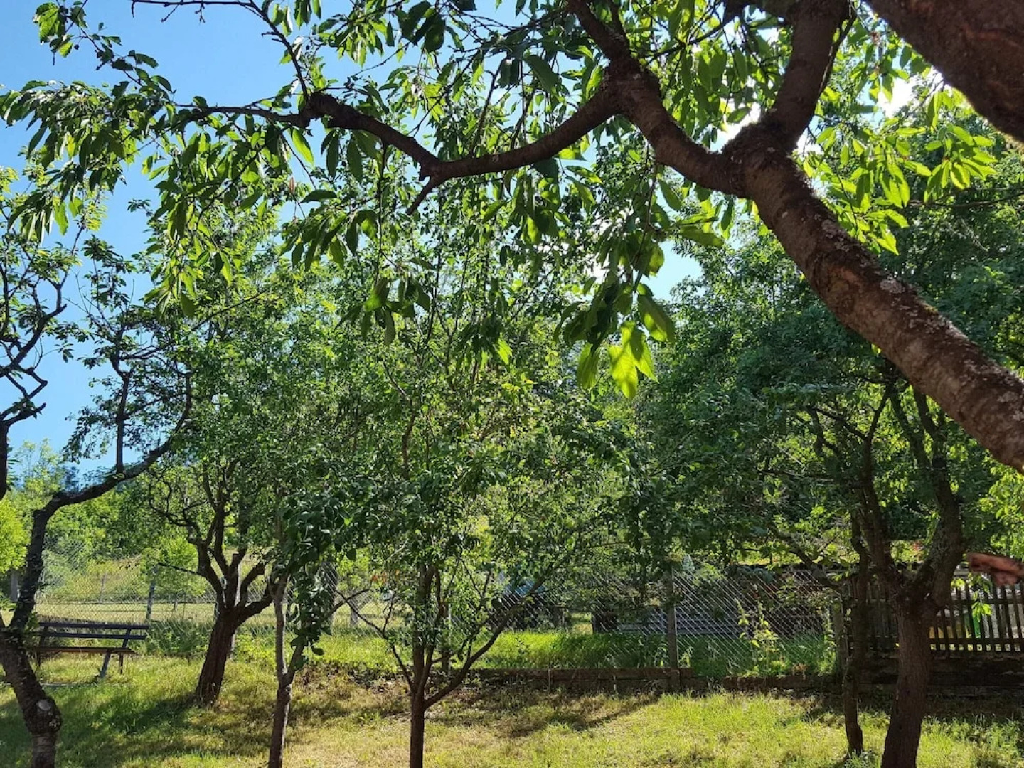 Holiday Home With Natural Garden