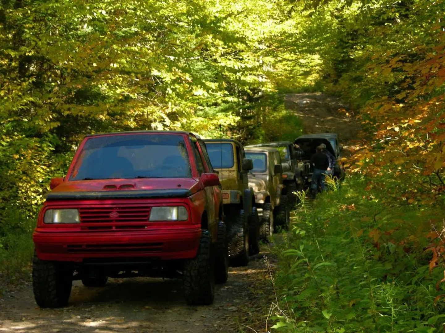 Chalets Passion Quebec