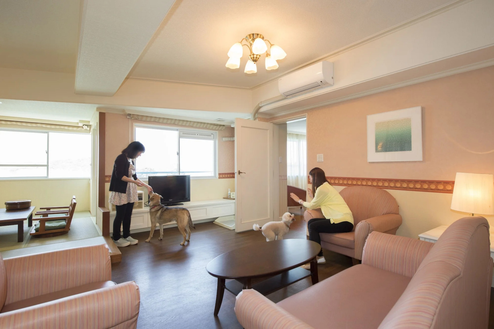 Izumigo Toba Dog Paradise Hotel