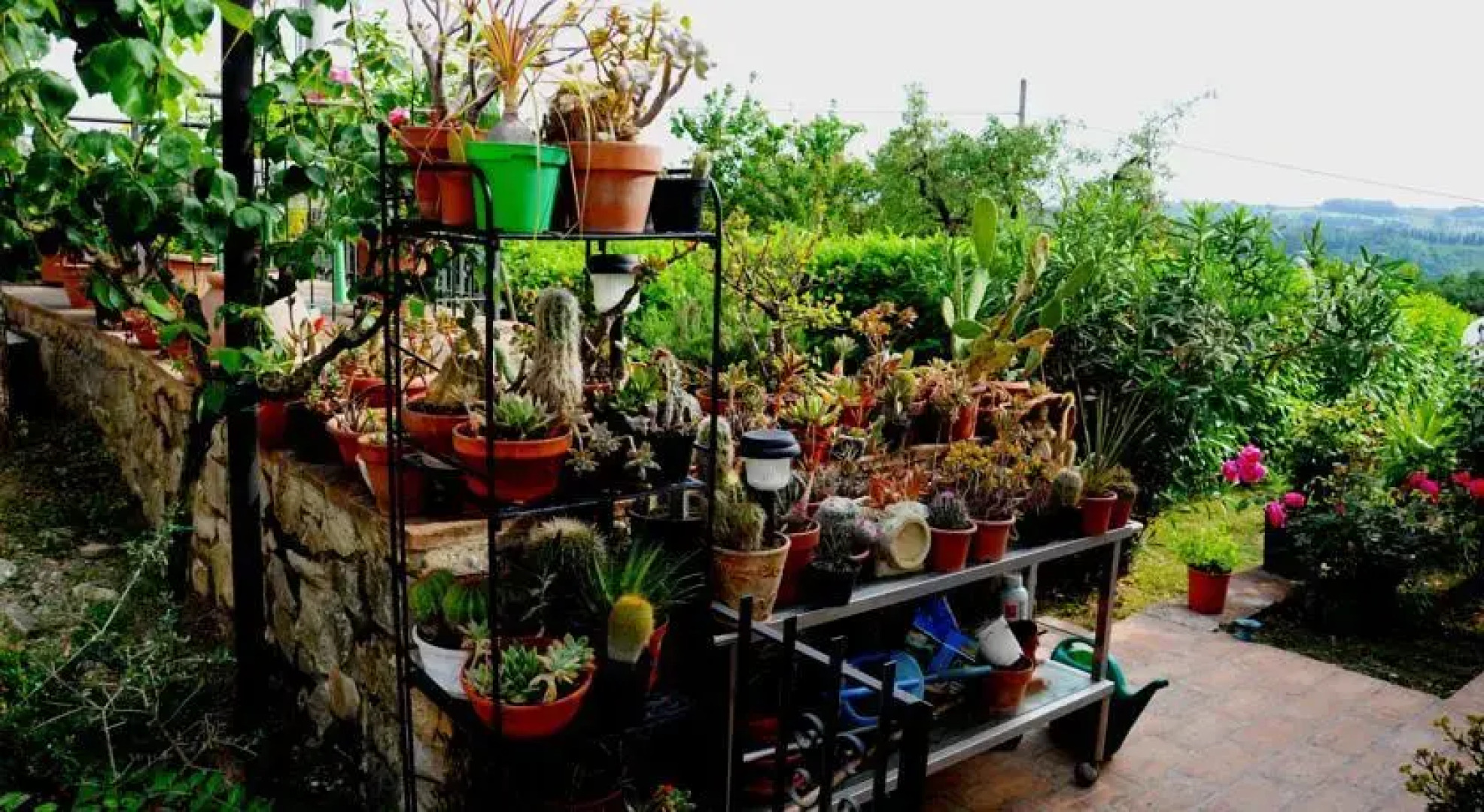 Casa Vacanze in Geggiano