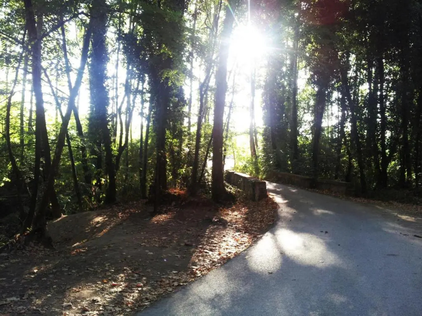 Casa Rural Can Miquel