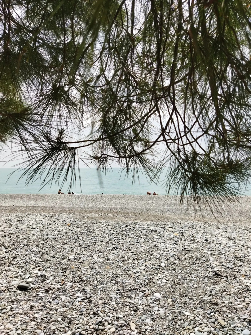 Gostevoj dom Zolotaja rybka