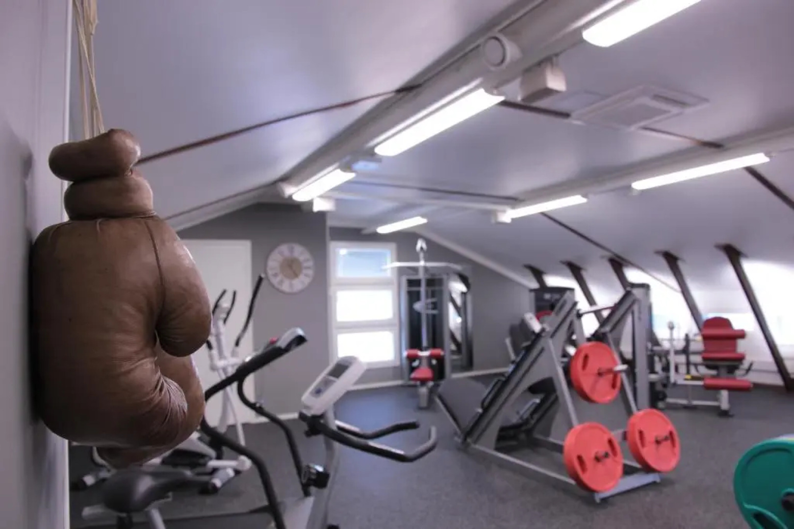 Woikoski Feeling - WHD Gård