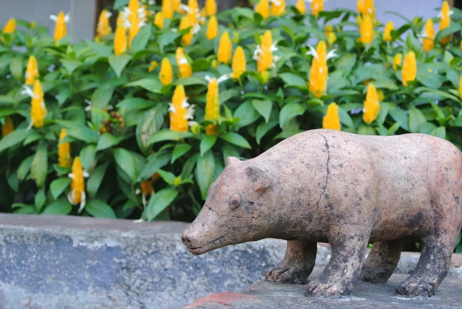 Quinta de las Flores