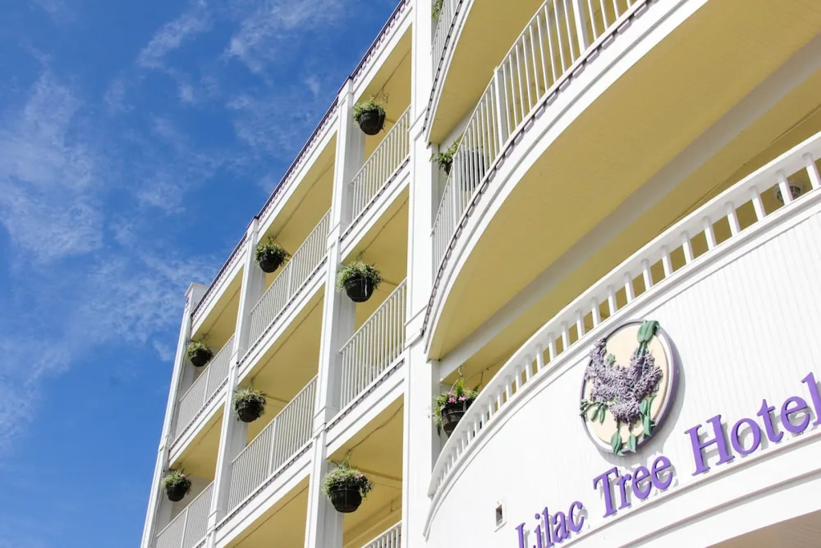 Lilac Tree Suites