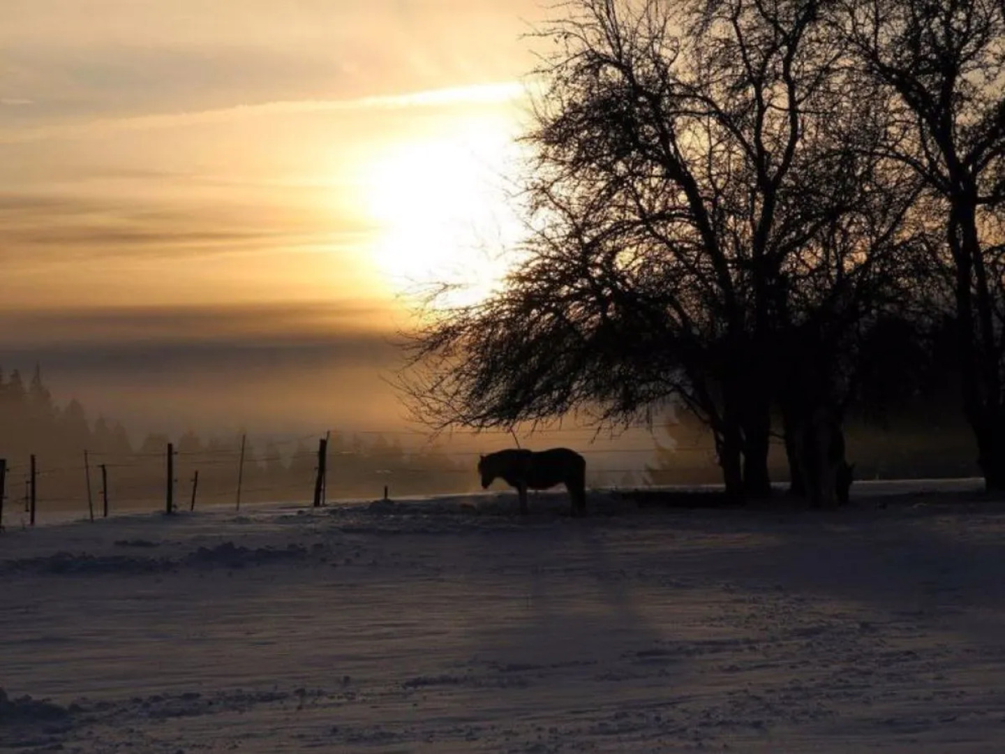 Maison de Vacances - Les Hirondelles Montfaucon