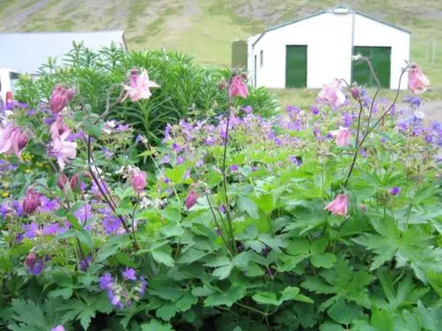 Guesthouse Kirkjubol in Bjarnardalur