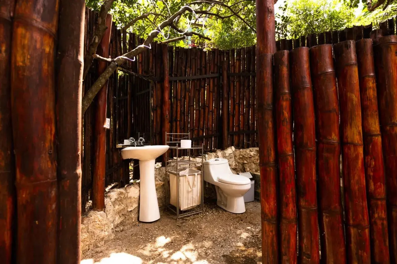 Jungle's Edge: Jiu-Jitsu, Muay Thai & Yoga Retreats