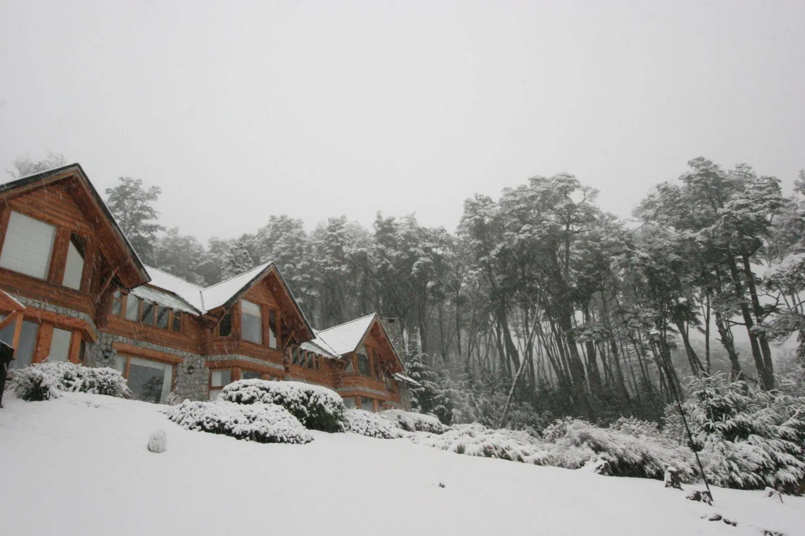 El Bosque by DOT Tradition