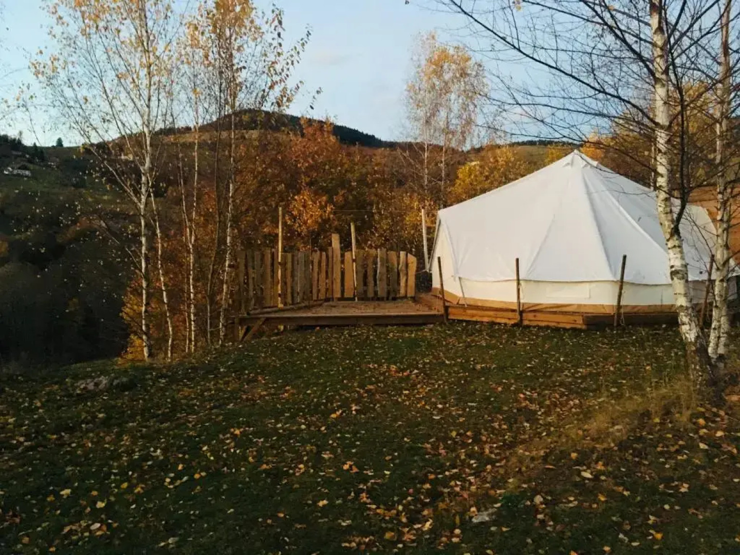 Silver Trees Glamping