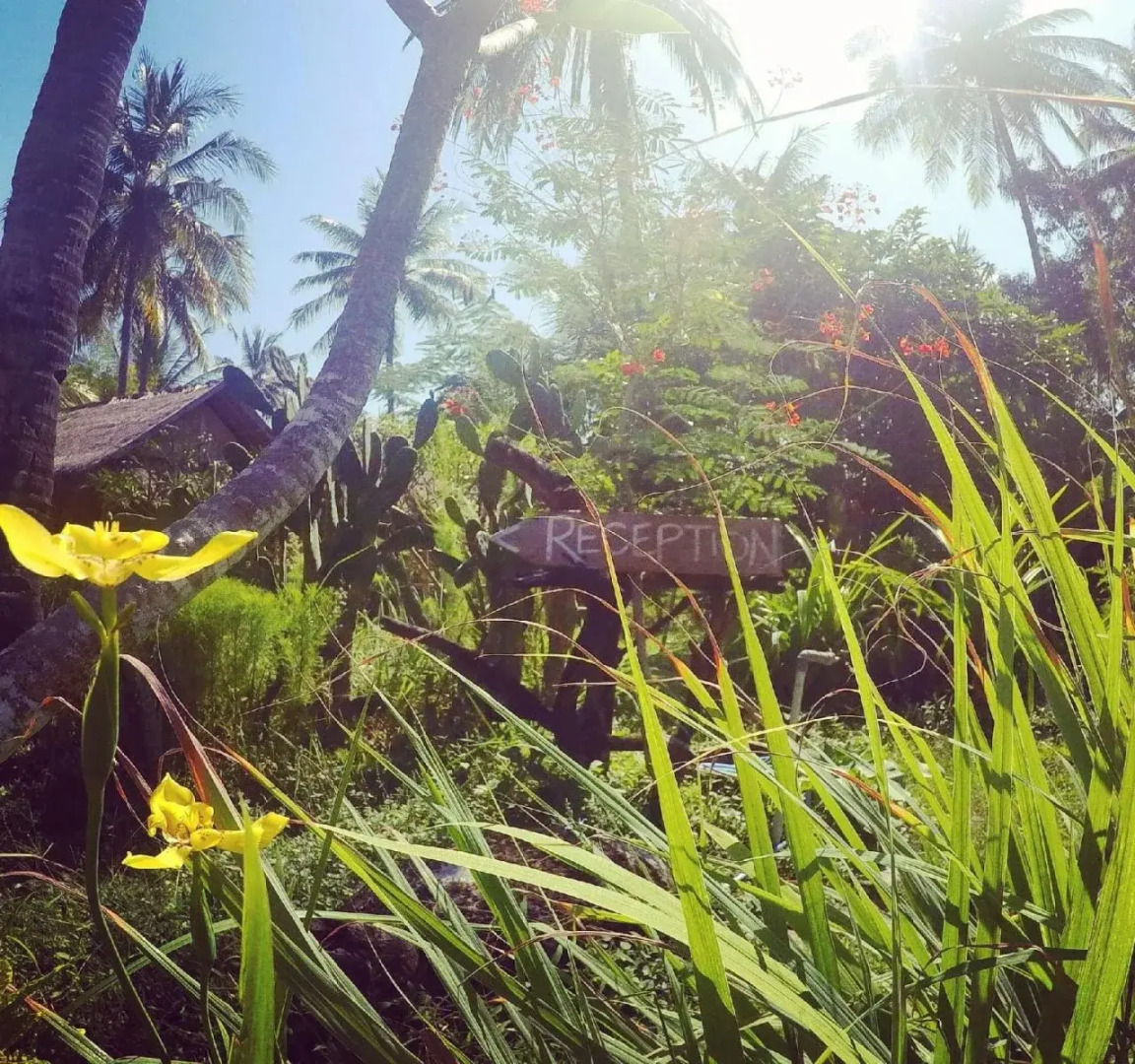 Rinjani Beach Eco Resort