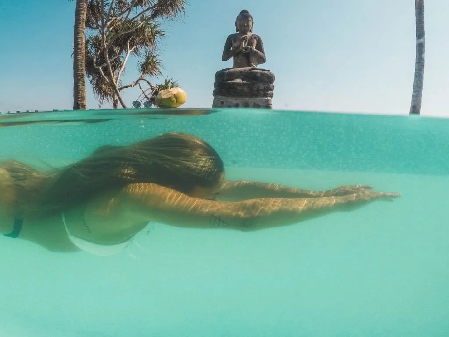 The Tree House Sumbawa - Hostel