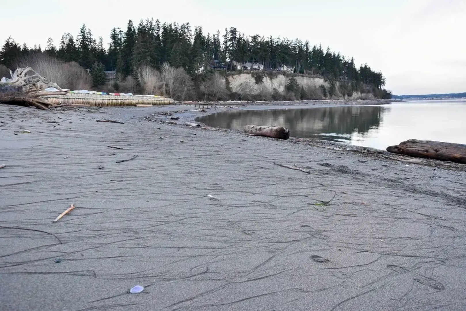 Unique Camano Cabin w/ Mountain + Water Views