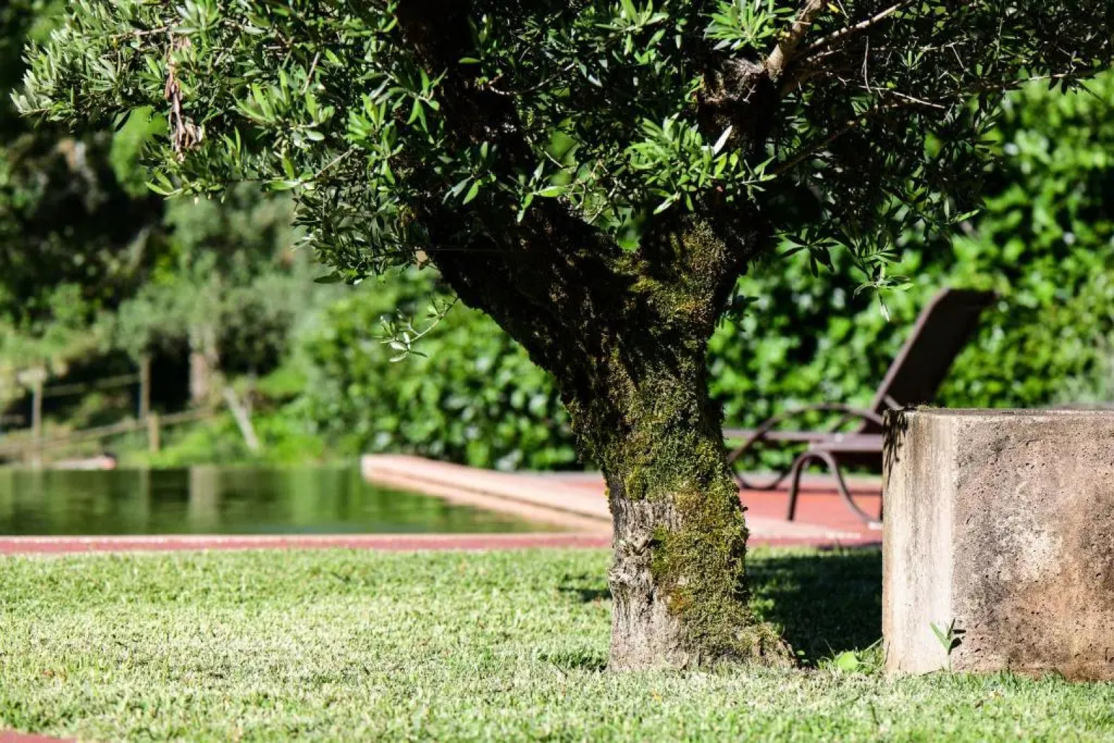 Vale do Ninho Houses