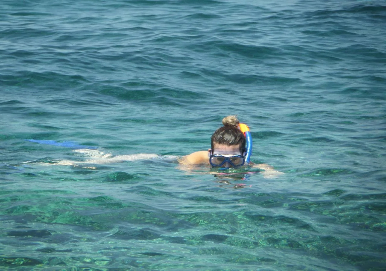 Mangrove Paradise Retreat