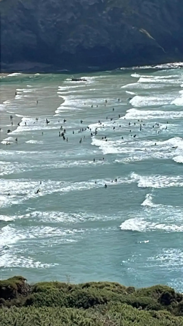 Rose Cottage Trevarren Saint Columb Cornwall TR96PJ