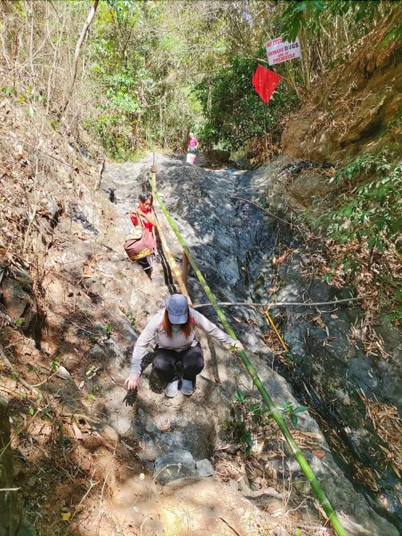 Singalong Nature Camphill Site