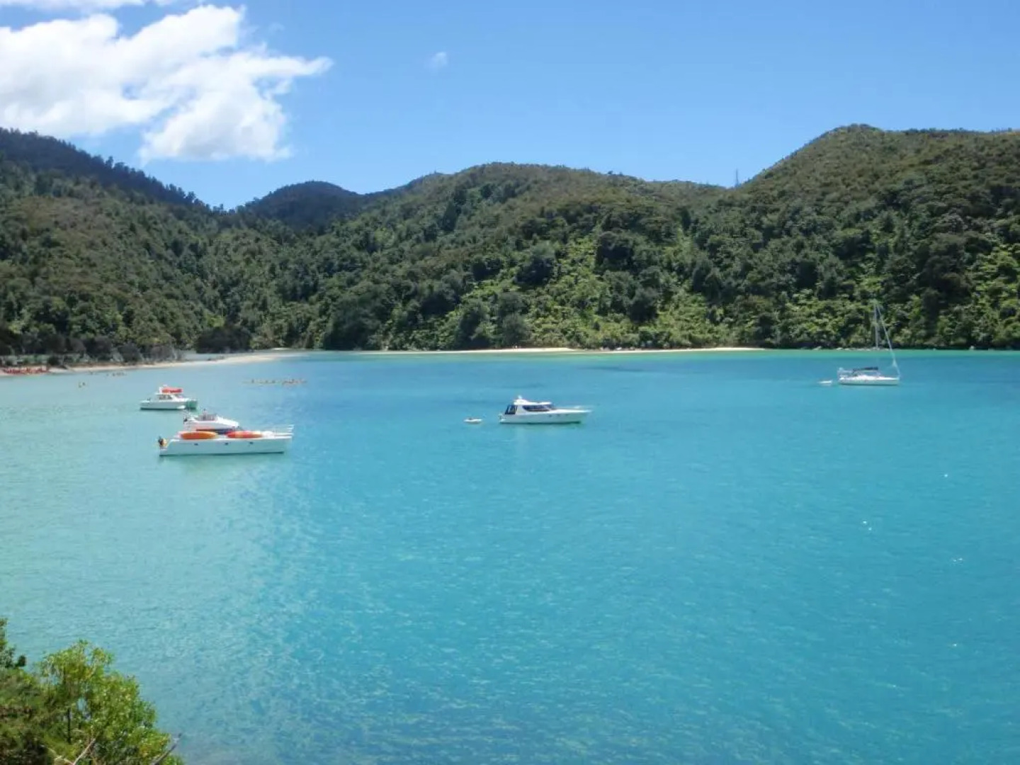 BEACH FRONT:Palms-on-the-beach.KAITERITERI.