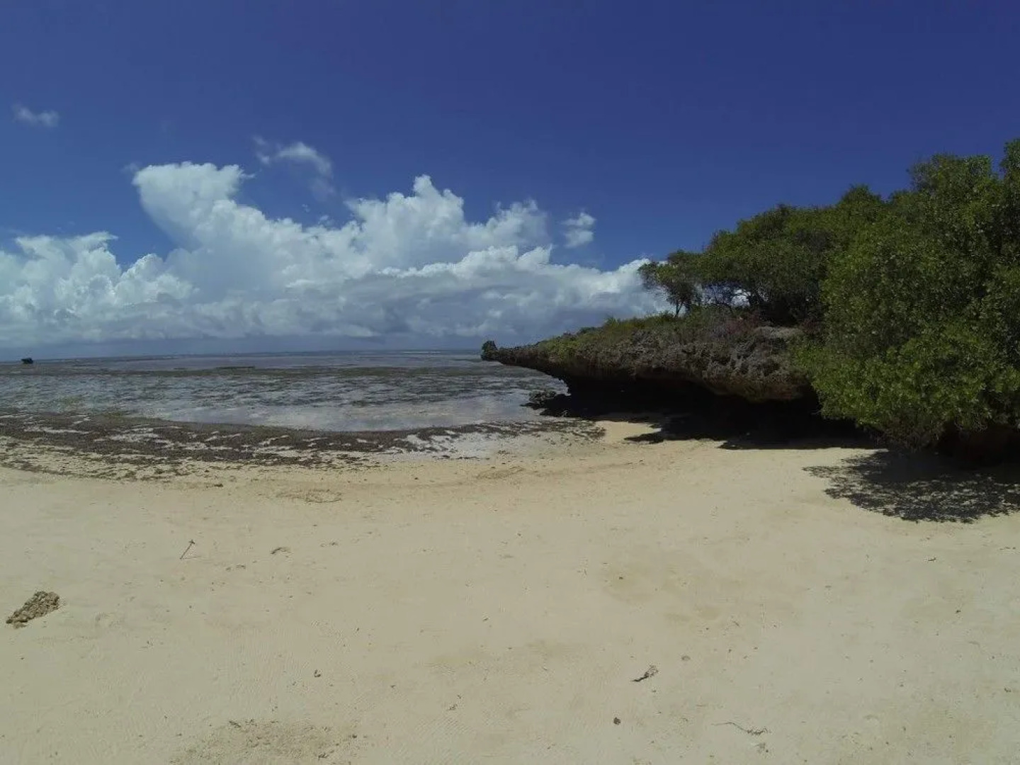 Leopard Point Luxury Beach Resort & Spa