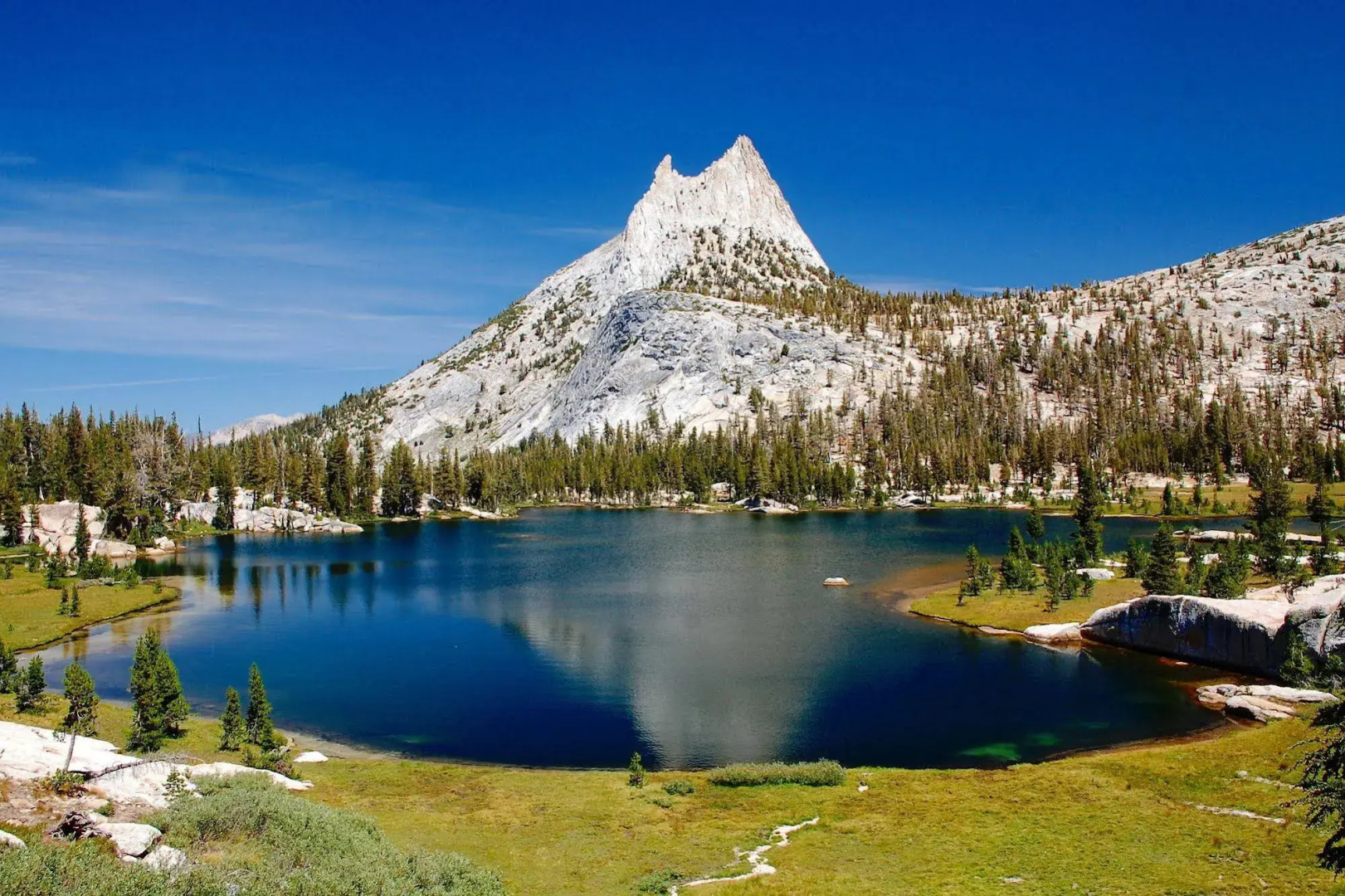 Inside Yosemite Spring Wonderland